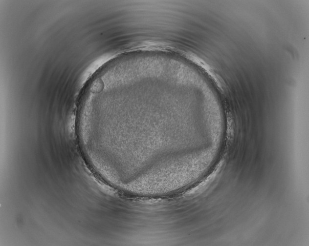 X0000112071066200909011018