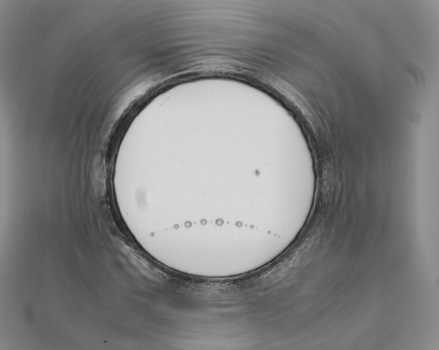 X0000112071067200909011018
