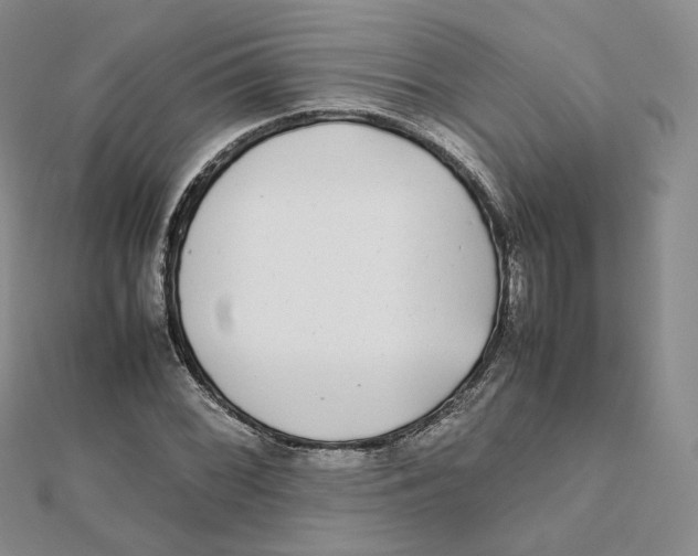 X0000112071068200909011018