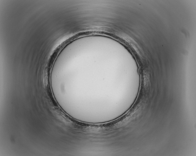 X0000112071069200909011018
