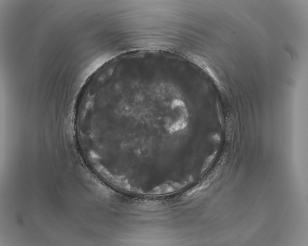X0000112071071200909011018