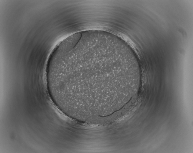 X0000112071072200909011018