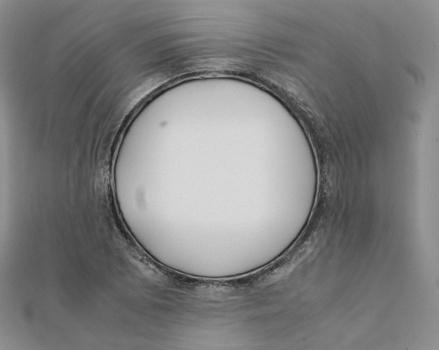 X0000112071073200909011018
