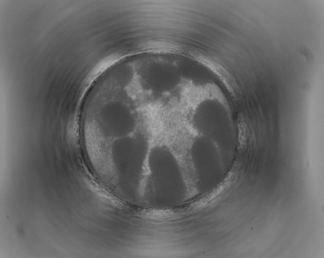 X0000112071074200909011018