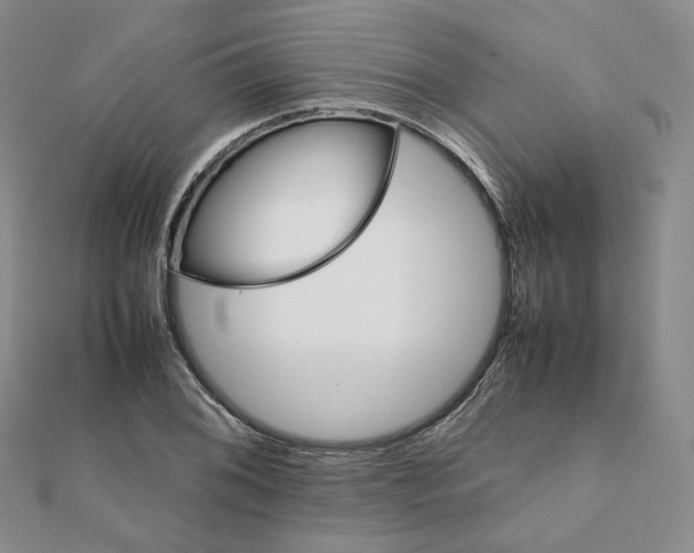 X0000112071076200909011018