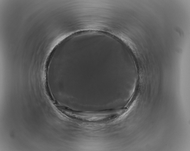 X0000112071077200909011018