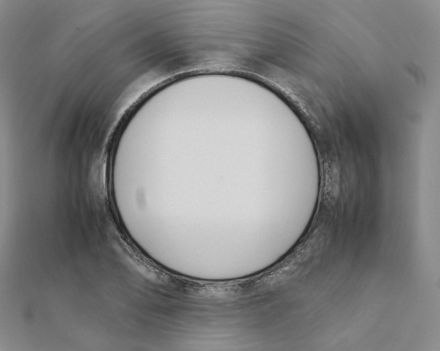 X0000112071078200909011018