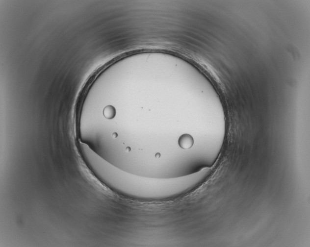 X0000112071080200909011018