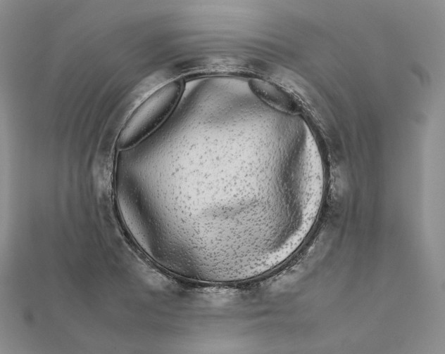 X0000112071081200909011018