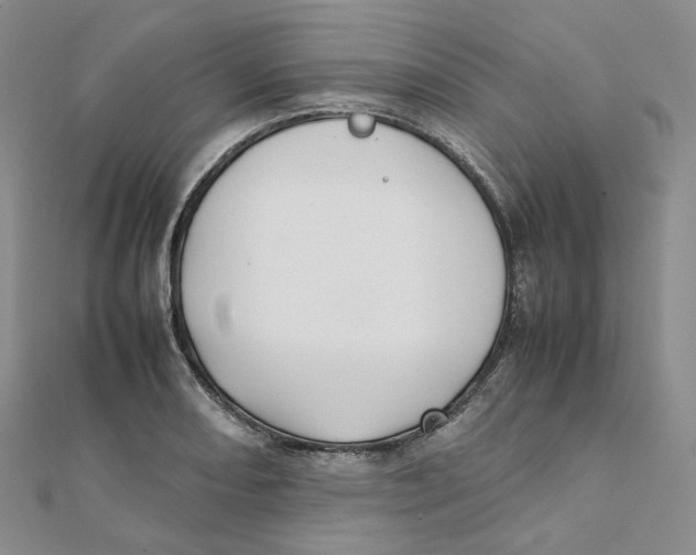 X0000112071082200909011018