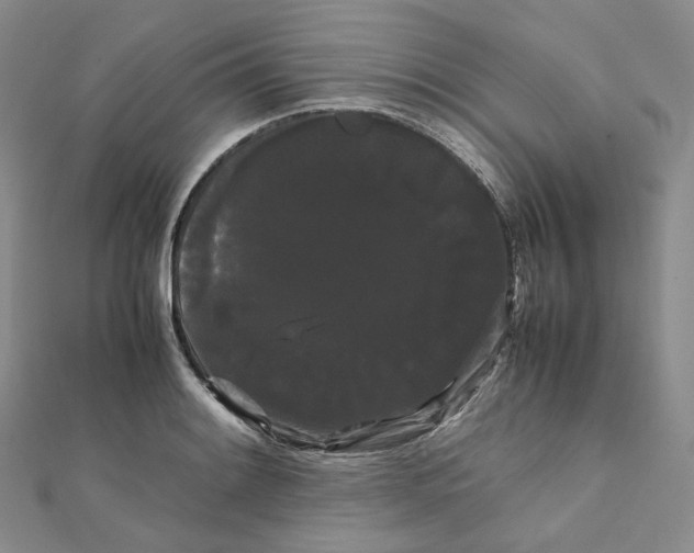 X0000112071084200909011018