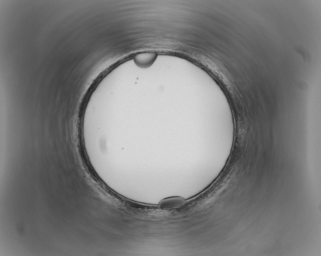 X0000112071085200909011018