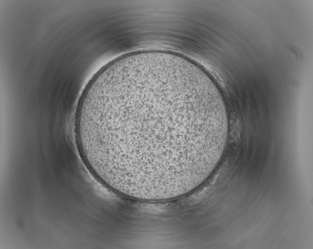 X0000112071086200909011018