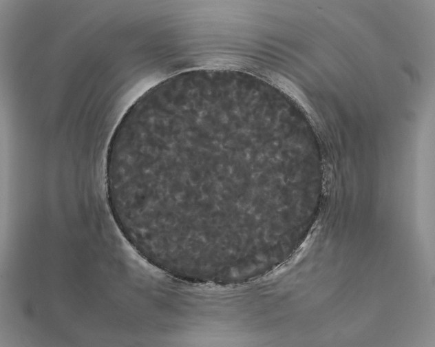 X0000112071087200909011018