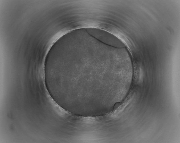 X0000112071088200909011018