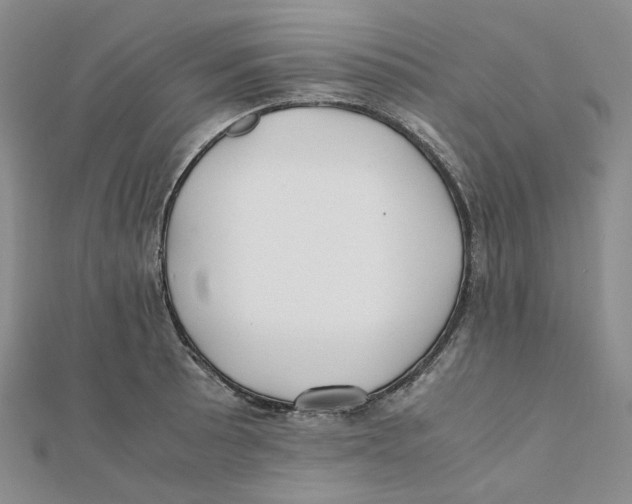 X0000112071089200909011018