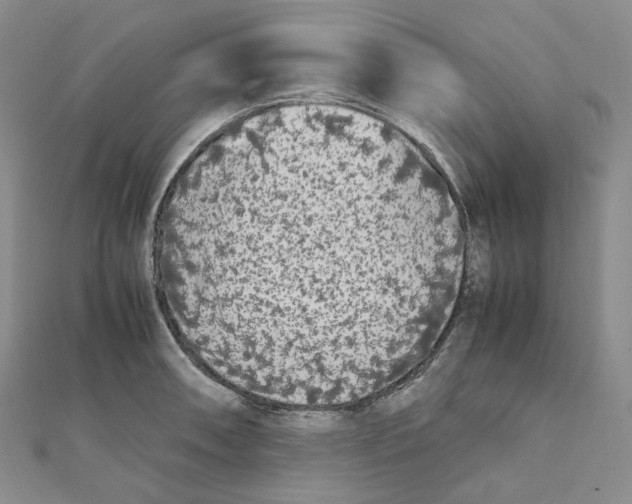 X0000112071090200909011018