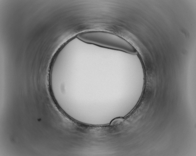 X0000112071093200909011018