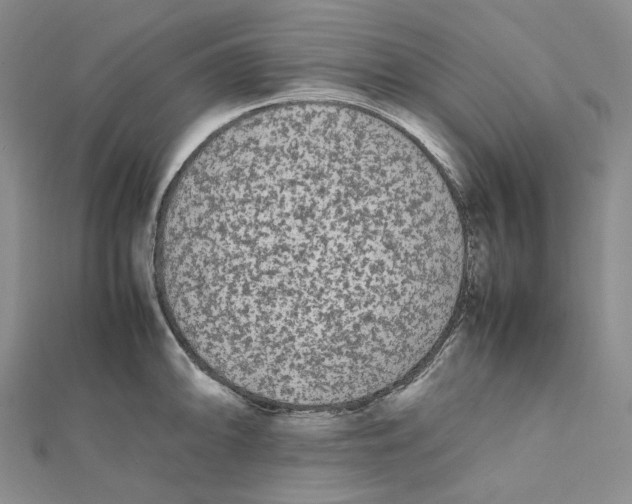 X0000112071094200909011018