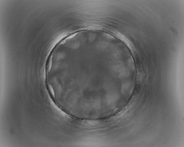 X0000112071095200909011018