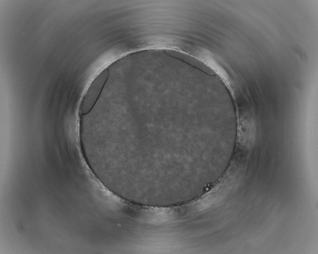 X0000112071096200909011018