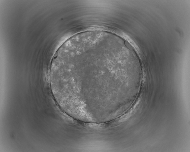 X0000112071097200909011017