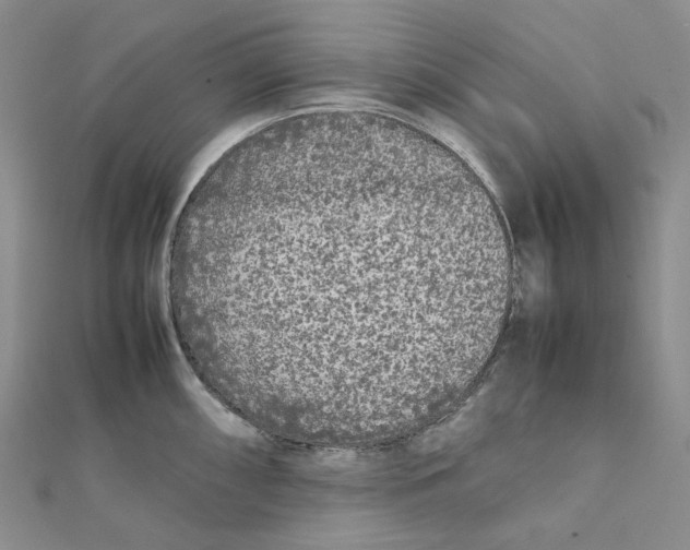 X0000112071098200909011017