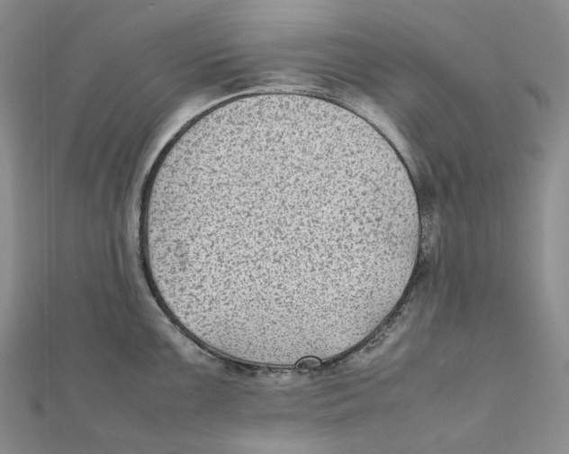 X0000112071099200909011017