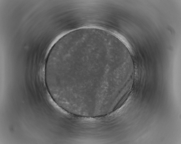 X0000112071100200909011017
