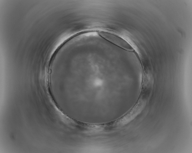 X0000112071101200909011017