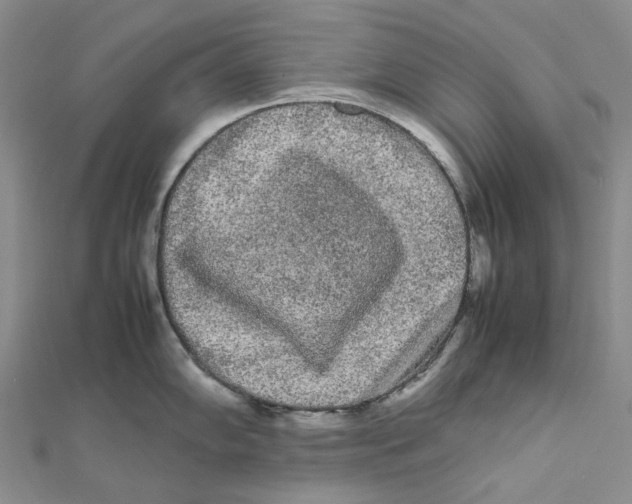 X0000112071102200909011017