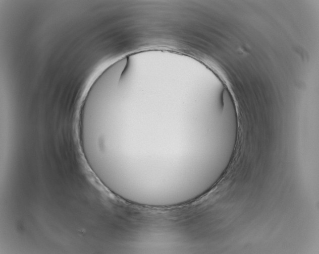 X0000112071104200909011017