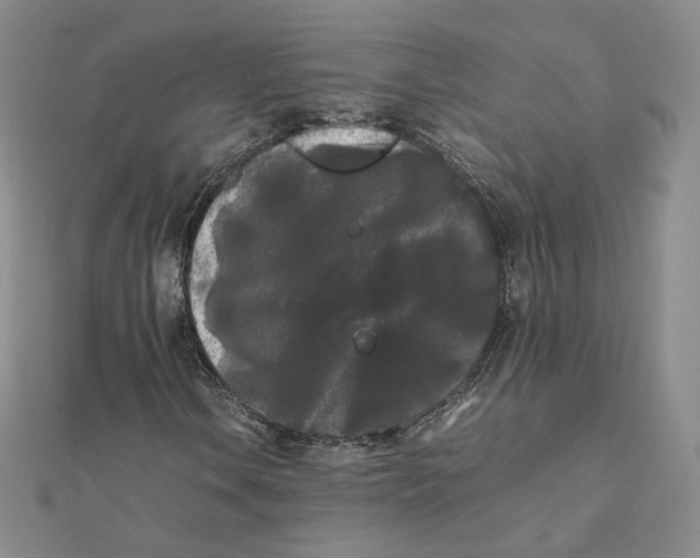 X0000112071106200909011017