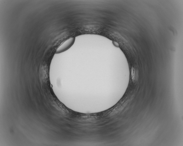 X0000112071107200909011017