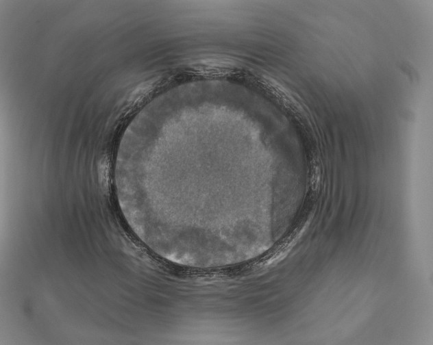 X0000112071108200909011017