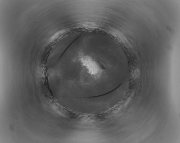 X0000112071110200909011017