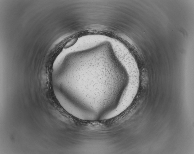 X0000112071112200909011017