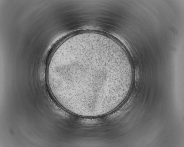 X0000112071115200909011017