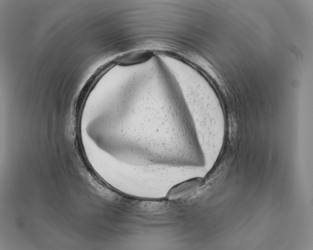 X0000112071116200909011017