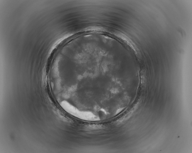 X0000112071117200909011017