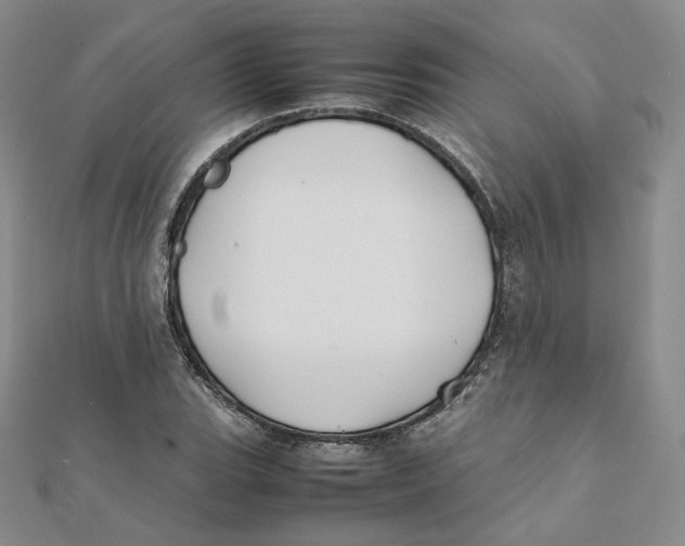 X0000112071119200909011017