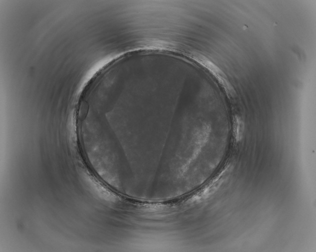 X0000112071120200909011017