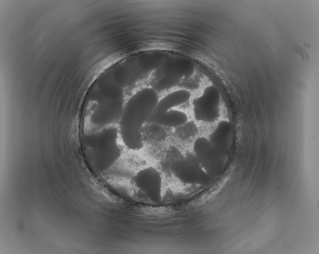 X0000112071121200909011017