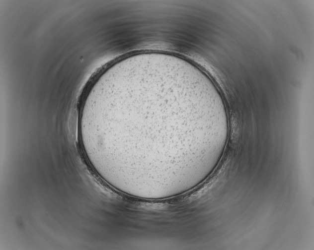 X0000112071123200909011017