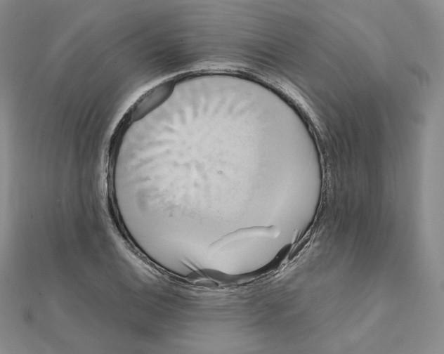 X0000112071124200909011017