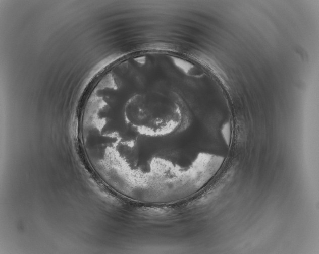 X0000112071125200909011017