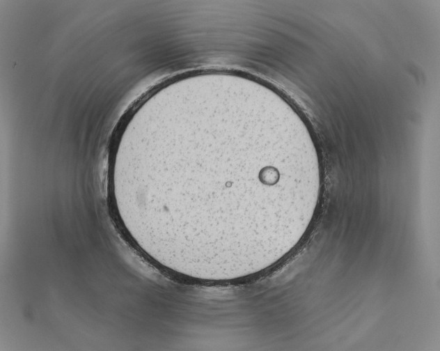 X0000112071126200909011017