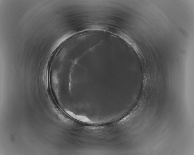 X0000112071127200909011017