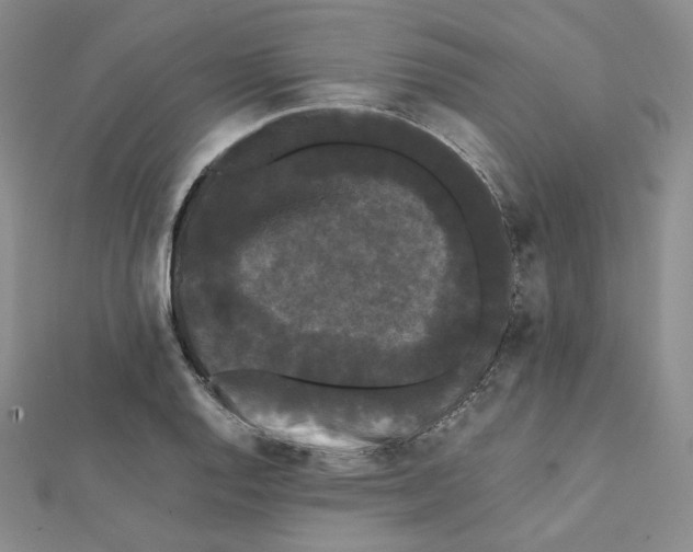 X0000112071128200909011017