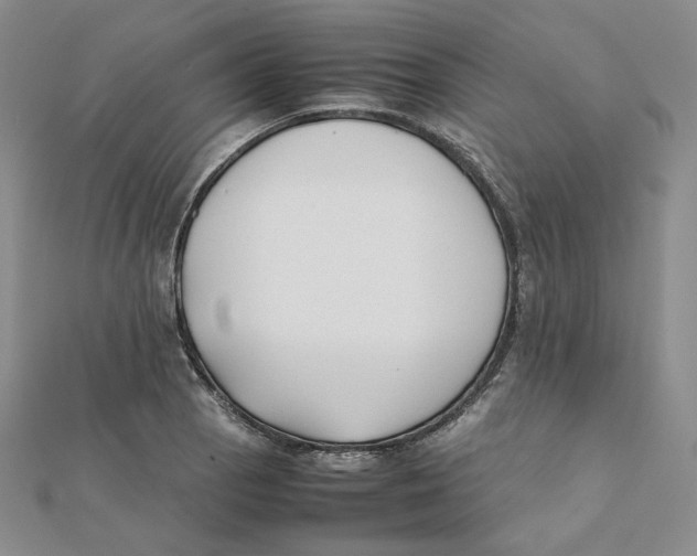 X0000112071129200909011017